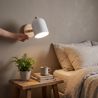 Drelis Wall Lamp